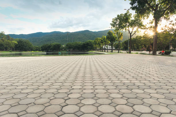 Best Decorative Driveway Pavers  in Silver Springs, NV